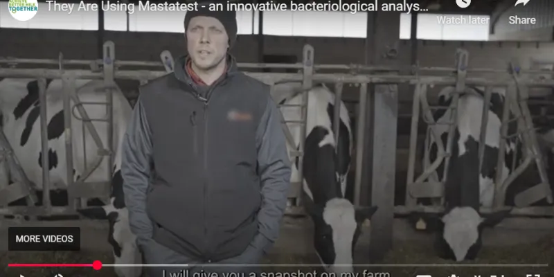 Dairy farmer Chevalier Ludovic highlights the major benefits using Mastatest for bacteriological analysis of milk samples has had for his dairy herd